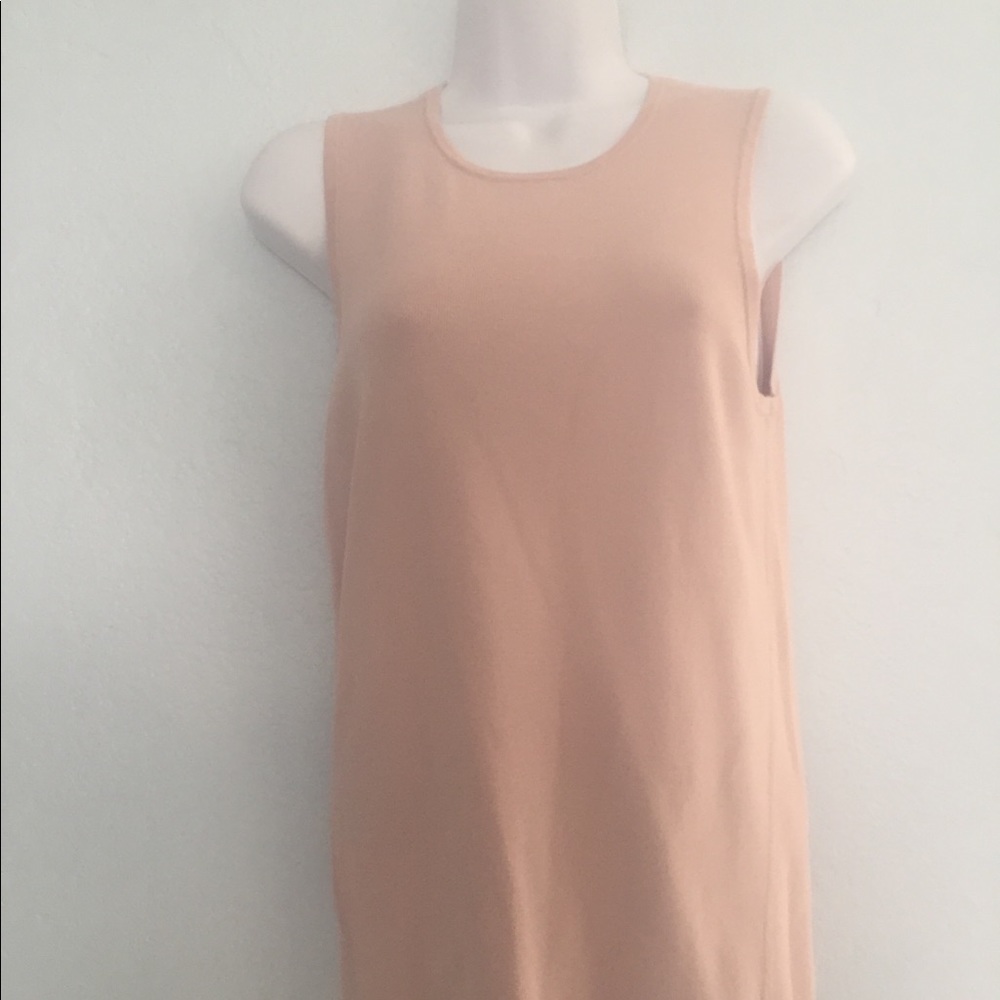 Light Beige with a Rosy Tint Tank Top Ann Taylor